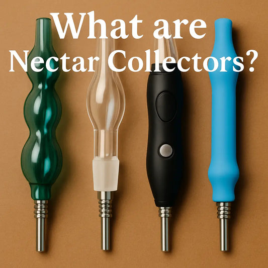 What are Nectar Collectors? Introductory Guide