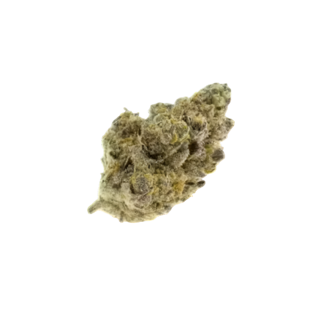Gelato Strain THCA Flower