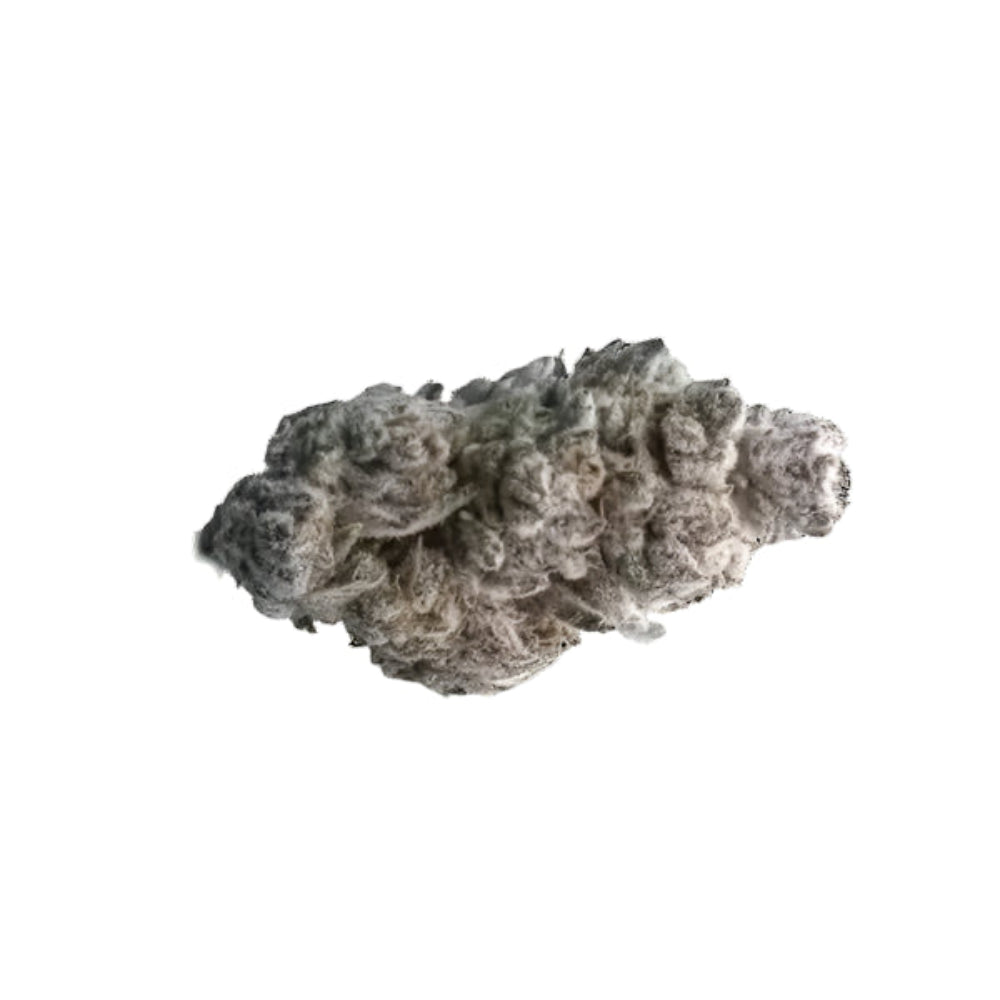 Sex Panther Flower (Sativa) - 48% THCa