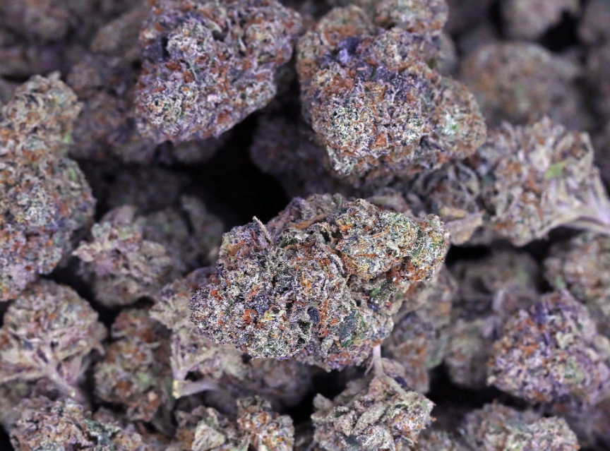 Pound 1lb of Gelato 41 THCa Flower for sale