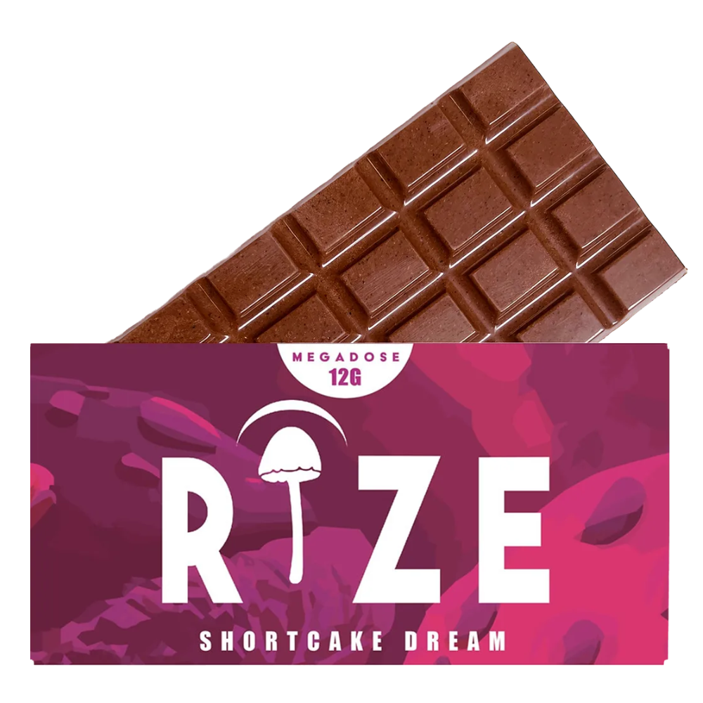Rize Chocolate Mushroom