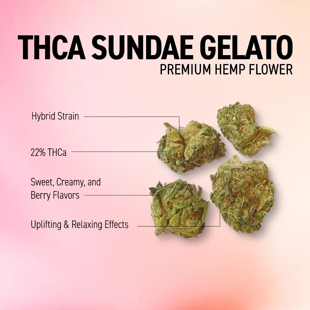 sundae gelato thca flower hybrid facts