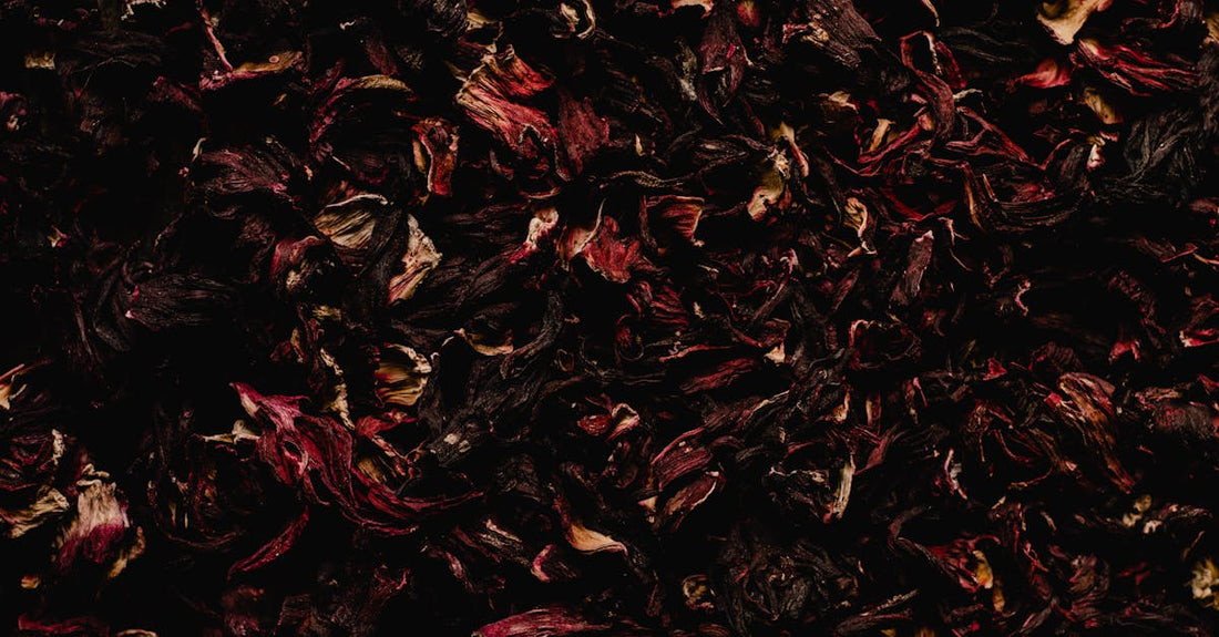 Understanding the Benefits of Dry Herb Vaporizers vs. Traditional Smoking